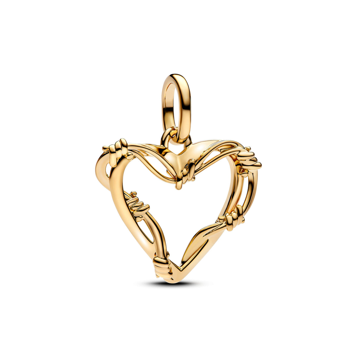 Corazon Con Espinas